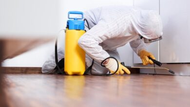 صورة شركة مكافحة حشرات الشارقة 0544641996